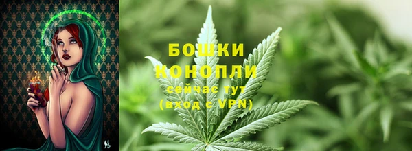 ГАЛЛЮЦИНОГЕННЫЕ ГРИБЫ Верея