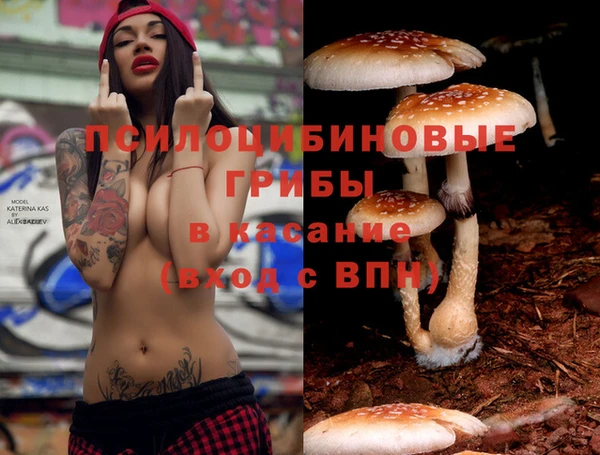 первитин Волосово