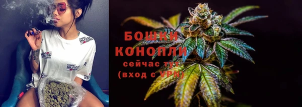 стафф Володарск